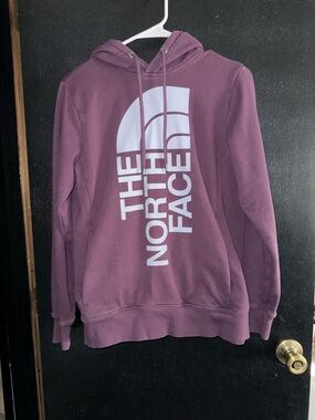 The North Face Plum Graphic Pullover Hoodie